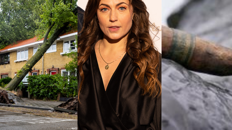 Ontwerp zonder titel (31)