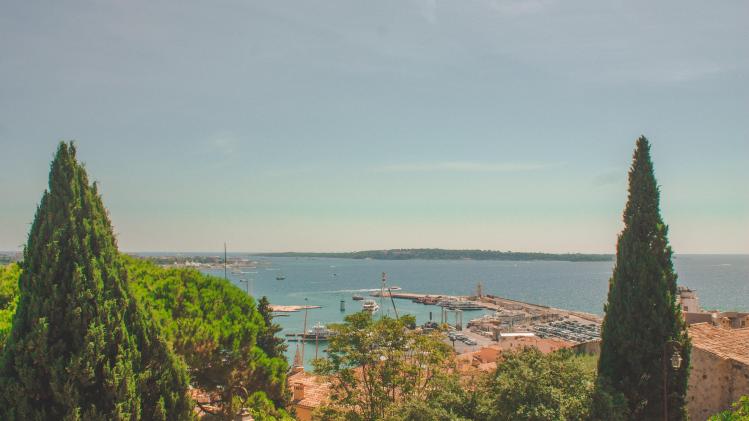 diane-picchiottino-F-T7JZeF4as-unsplash