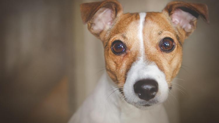 sherry-wright-J_hv9EHmIdE-unsplash