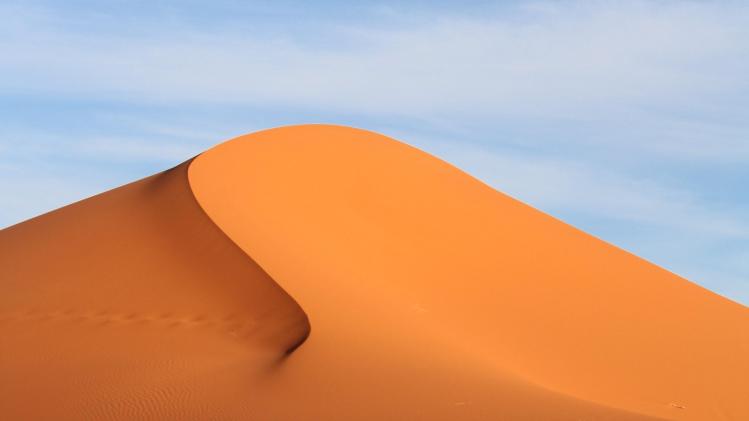 fernando-paredes-murillo-Xc6gtOwSMSA-unsplash