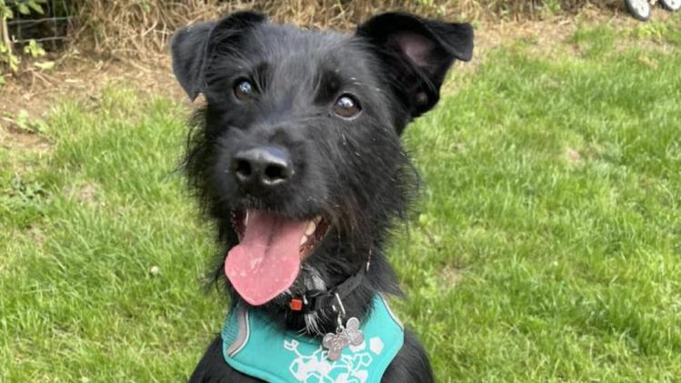 361633263_592894443022802_3898192657049691508_n