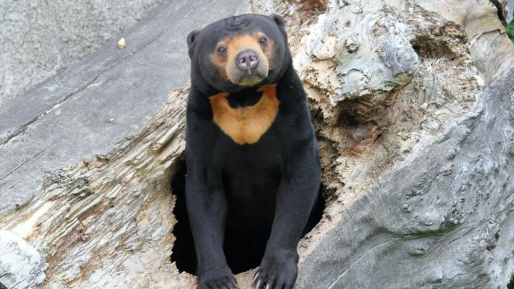 dusan-veverkolog-TG43wDuNPj0-unsplash