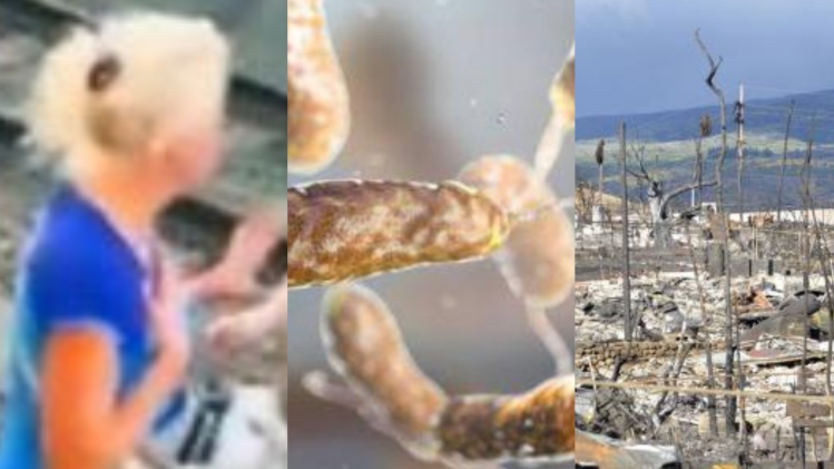 Ontwerp zonder titel (42)