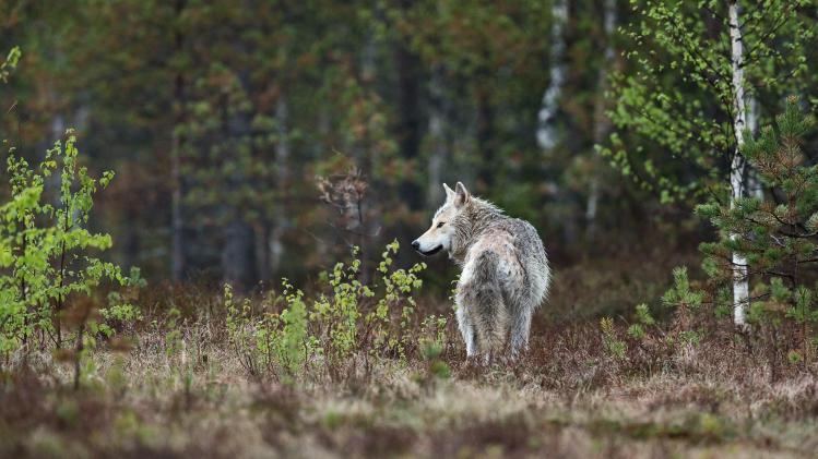 B9734932766Z.1_20230821140450_000+GOGNAG2ML.1-0