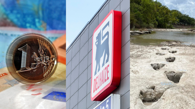 Ontwerp zonder titel