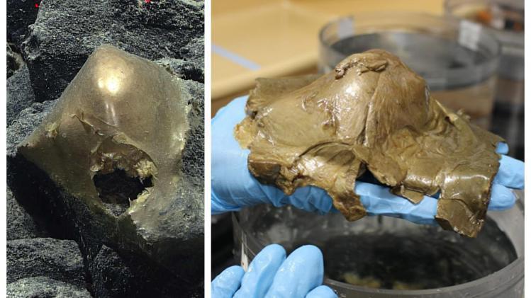 B9735056915Z.1_20230910143337_00