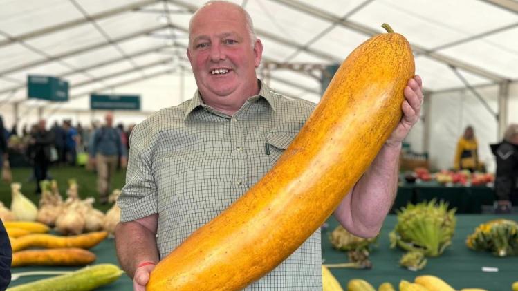 381221321_2629937367153720_34851