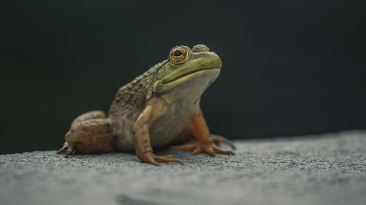 adam-currie-8T7oWwnru18-unsplash