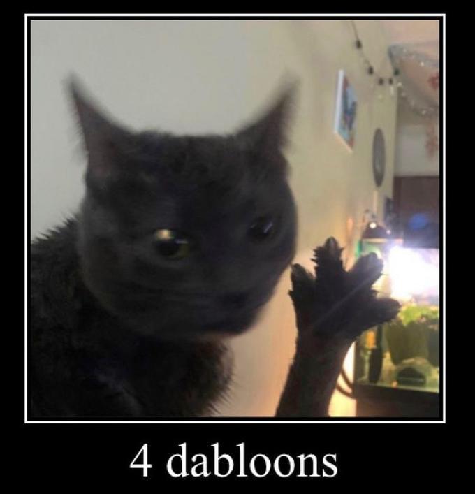 dabloon 1