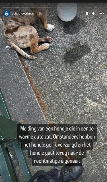 https___static.nieuwsblad.be_Assets_Images_Upload_2023_07_09_3d61af74-48dd-4