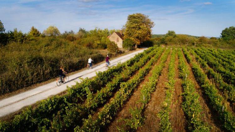 MUY5NjQxOTLfNHPbNc0jLNTe6Weodpxr